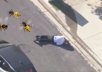 200 bees attacked a man