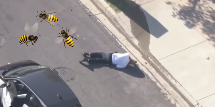 200 bees attacked a man