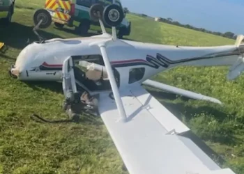 An airplane collided with a horse as it was taking off