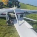 An airplane collided with a horse as it was taking off