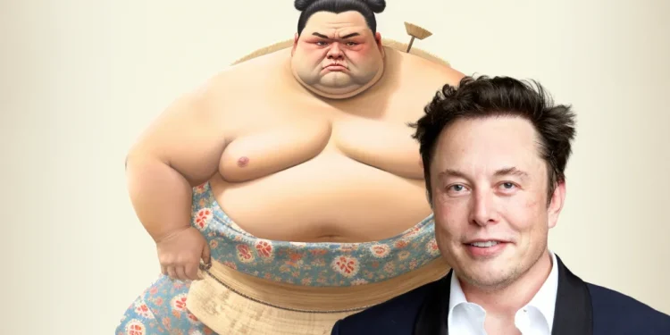 Elon Musk and sumo wrestler
