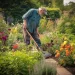 the_gardener_cleans_the_garden